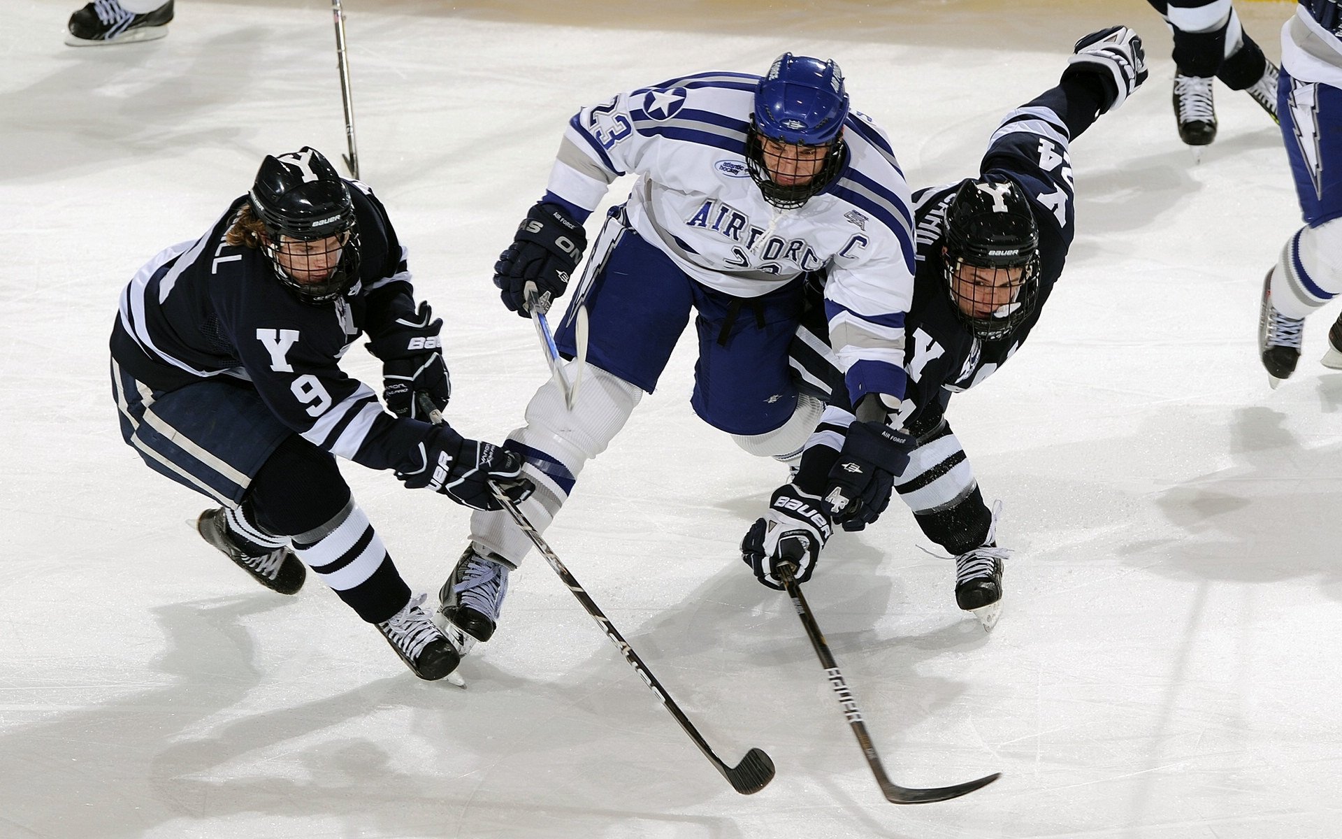 WRC驾驶技巧：从新手到高手的提升路径，wrc车手的车技有多高